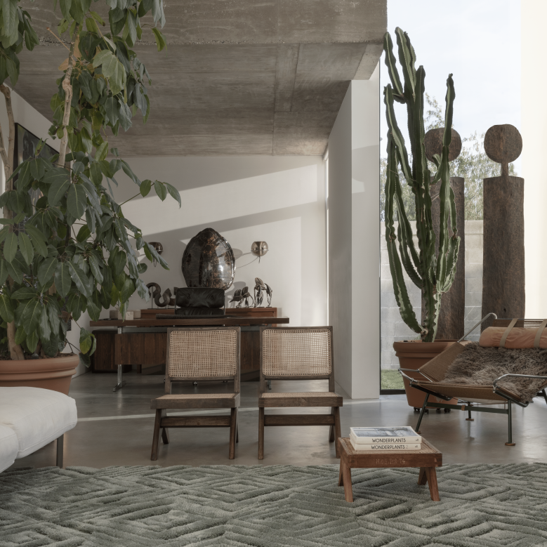 Un salon rempli de meubles et d'un cactus